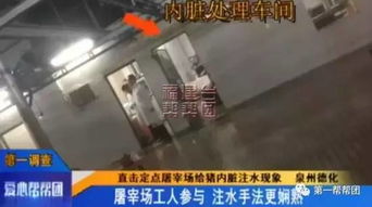 泉州生猪屠宰点曝注水丑闻，农副产品安全引担忧