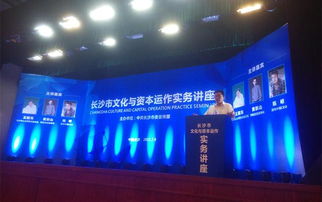 专家论道长沙 文化资本融合，借力新三板与互联网共舞