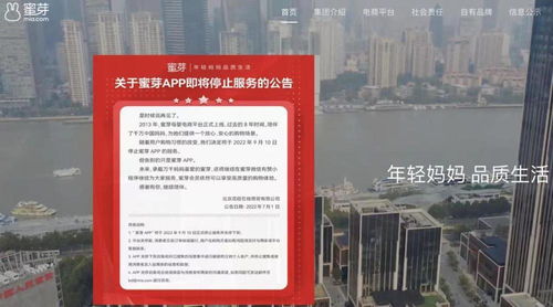 蜜芽App将关停 多次违反价格法与互联网文化监管成隐患